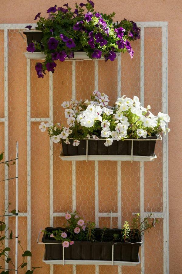 Appartement Isabella Makarska